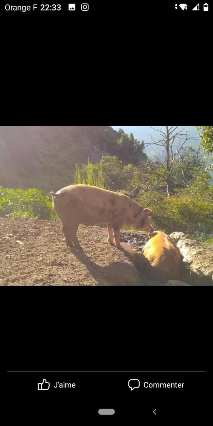 U Mulinu Διαμέρισμα Moita Εξωτερικό φωτογραφία