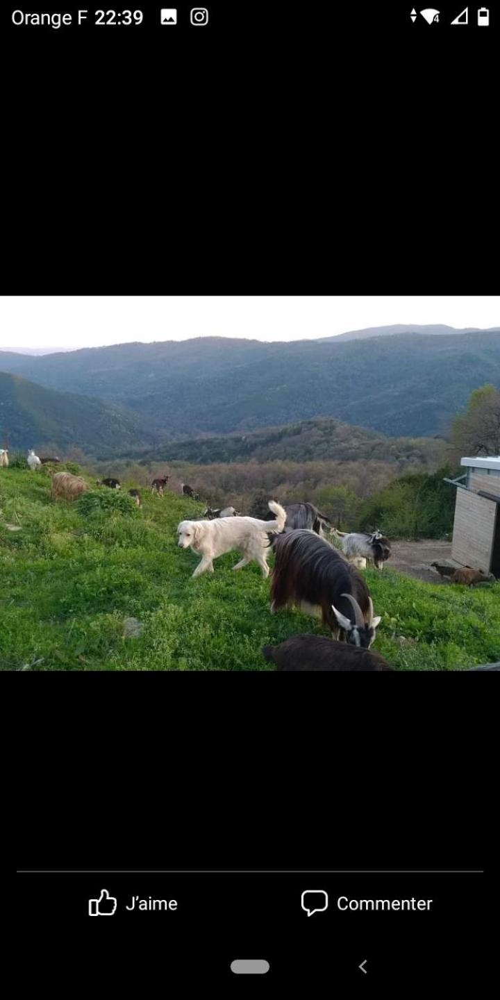 U Mulinu Διαμέρισμα Moita Εξωτερικό φωτογραφία
