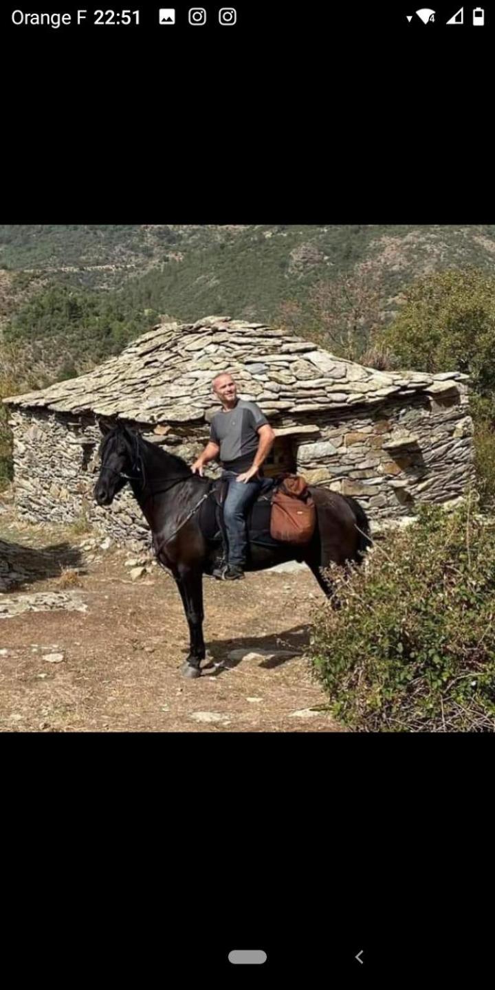 U Mulinu Διαμέρισμα Moita Εξωτερικό φωτογραφία