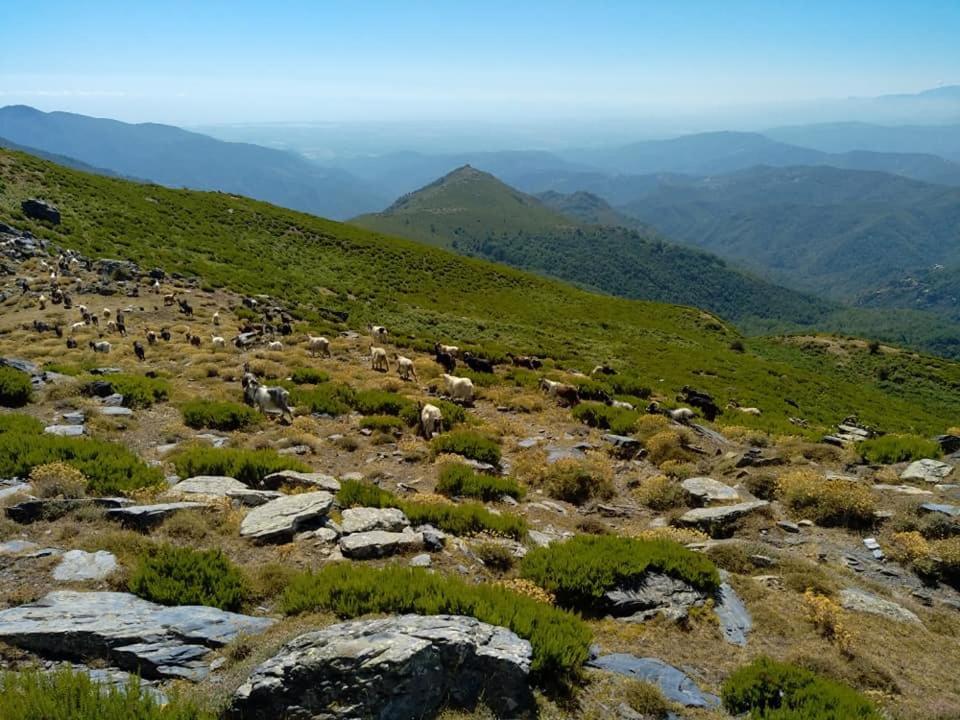 U Mulinu Διαμέρισμα Moita Εξωτερικό φωτογραφία